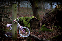 Clumber Park, Nottinghamshire