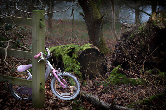 Clumber Park, Nottinghamshire