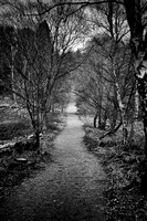 Clumber Park, Nottinghamshire