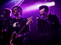 The Damned 2018